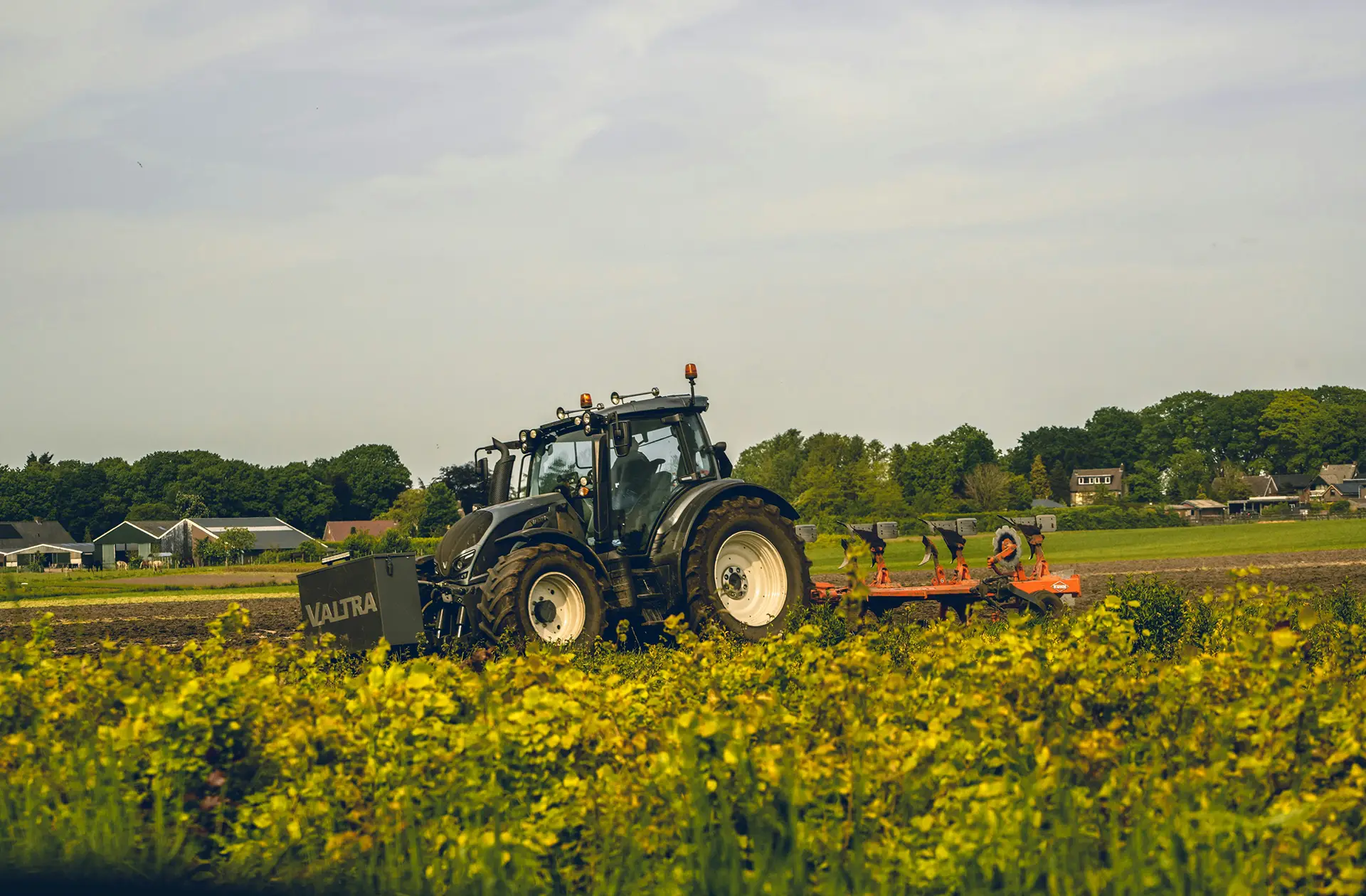 We supply agricultural products to international markets, ensuring they meet global quality and compliance standards. Our export services are built on reliability, proper handling, and strong supply chain management.